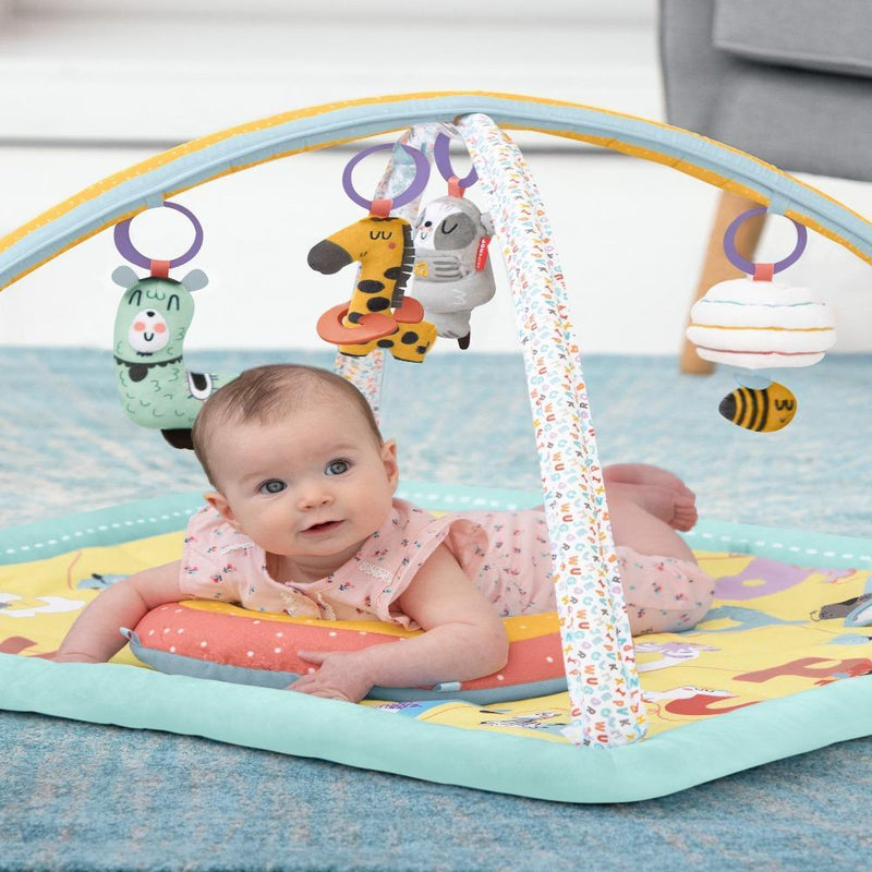 Skip Hop ABC & ME Activity Gym