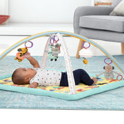Skip Hop ABC & ME Activity Gym