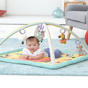Skip Hop ABC & ME Activity Gym