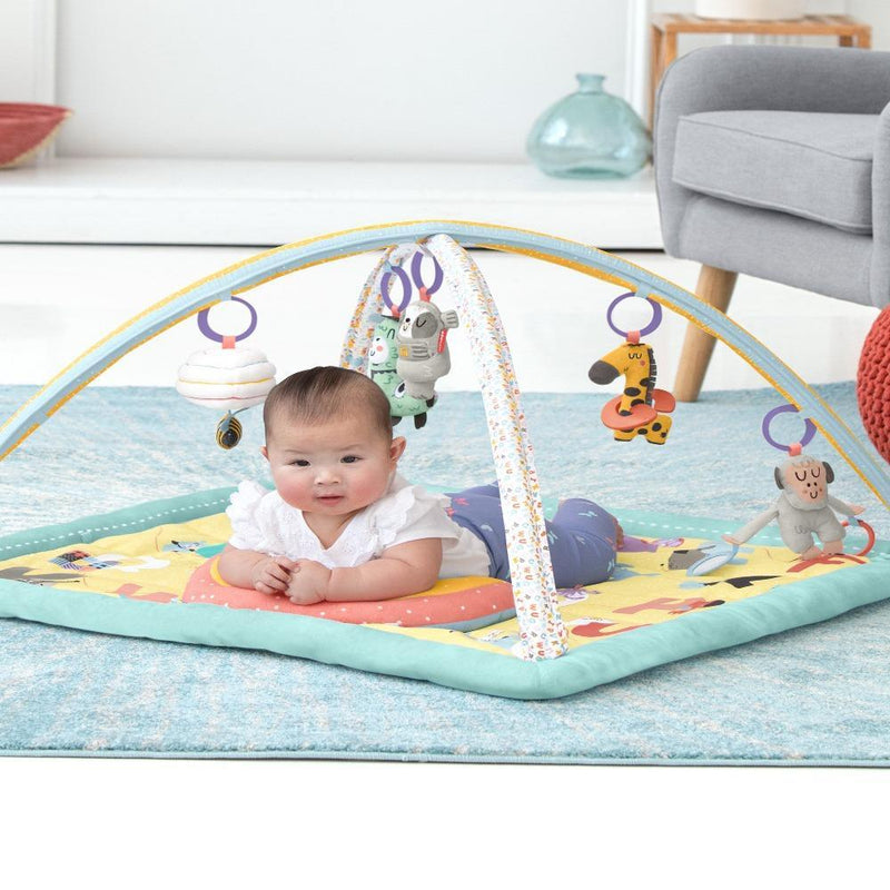 Skip Hop ABC & ME Activity Gym