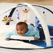 Skip Hop Celestial Dreams Activity Gym-Mats, Gym & Activity-Skip Hop-Toycra