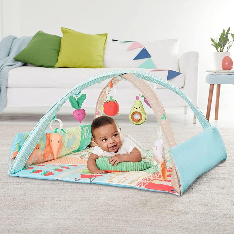 Skip Hop Farmstand Grow & Play Activity Gym
