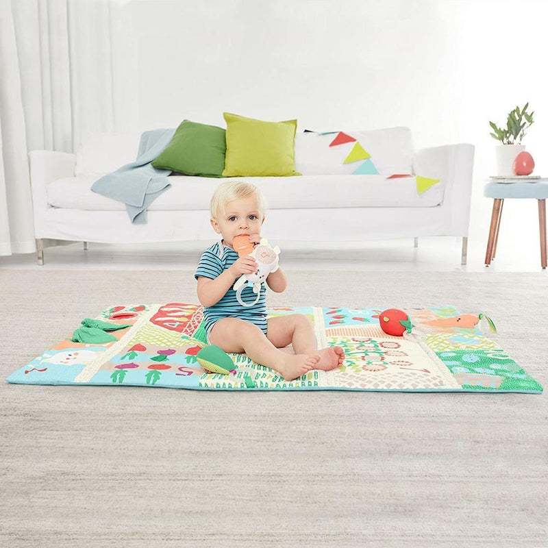 Skip Hop Farmstand Grow & Play Activity Gym