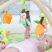 Skip Hop Treetop Friends Baby Activity Gym-Mats, Gym & Activity-Skip Hop-Toycra