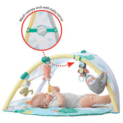 Skip Hop Tropical Paradise Activity Gym & Soother