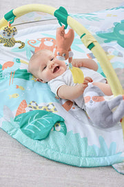 Skip Hop Tropical Paradise Activity Gym & Soother