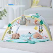 Skip Hop Tropical Paradise Activity Gym & Soother