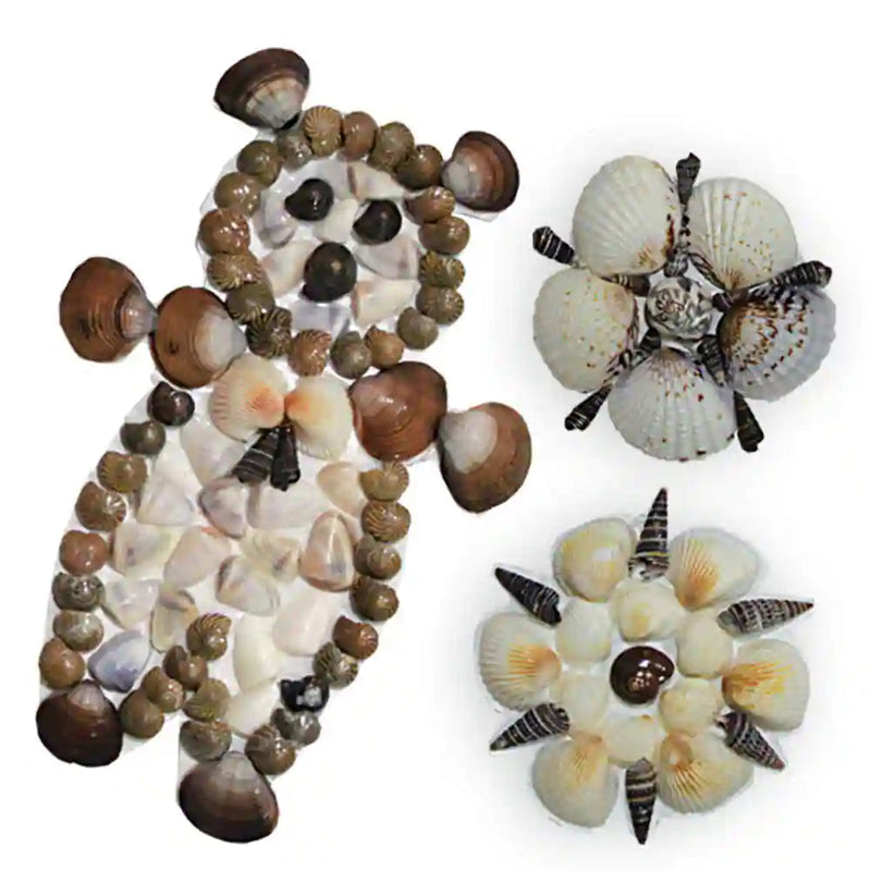 Toykraft Shellbinding Craft
