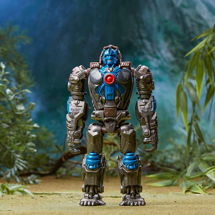 Transformers Rise of the Beast Combiners 2-Pack Optimus Primal & Skullcruncher-Action & Toy Figures-Transformers-Toycra