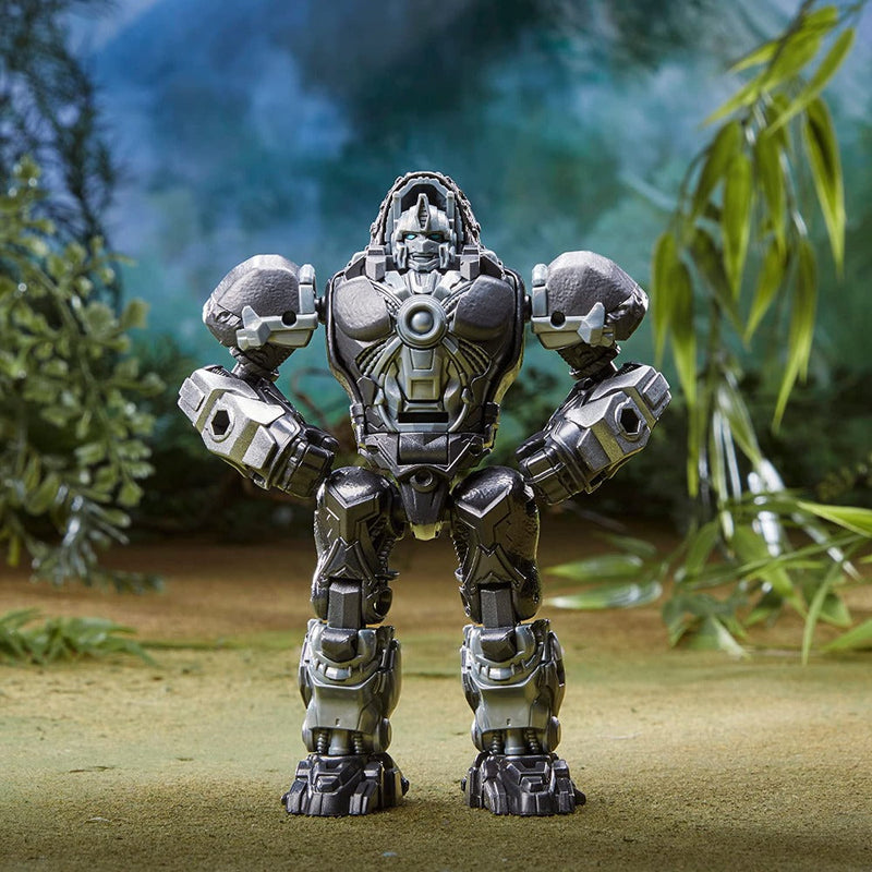 Transformers Rise of the Beasts 2-Pack Optimus Primal & Arrowstripe 5-inch
