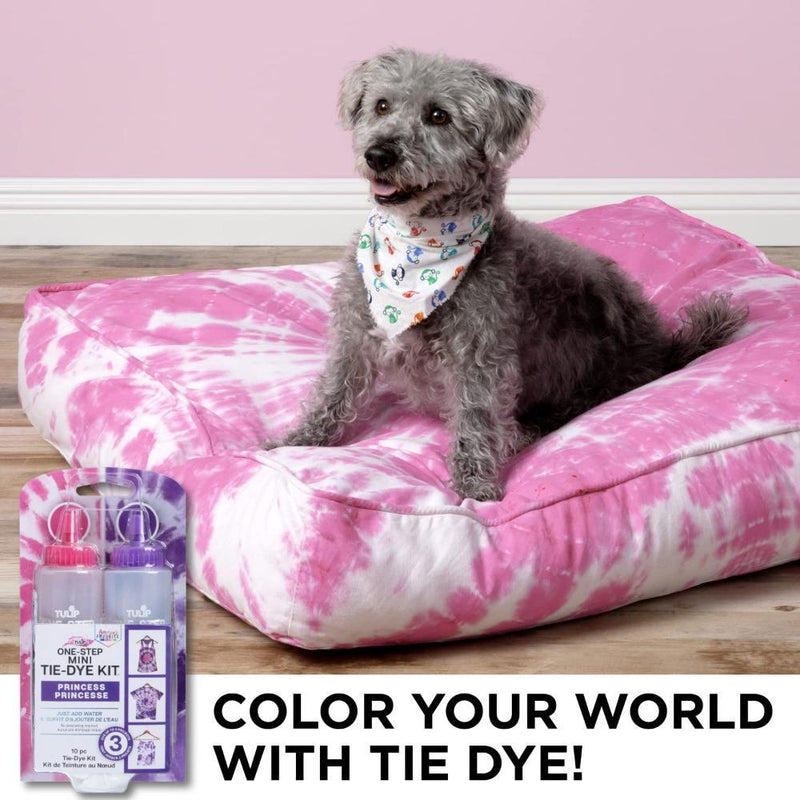 Tulip One-Step Mini Tie Dye's Kit