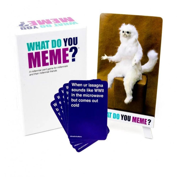 Dude with Sign: the Cardboard Game – Adult Party Game by What Do You Meme?  Card Game Full of Ridiculous Dares 